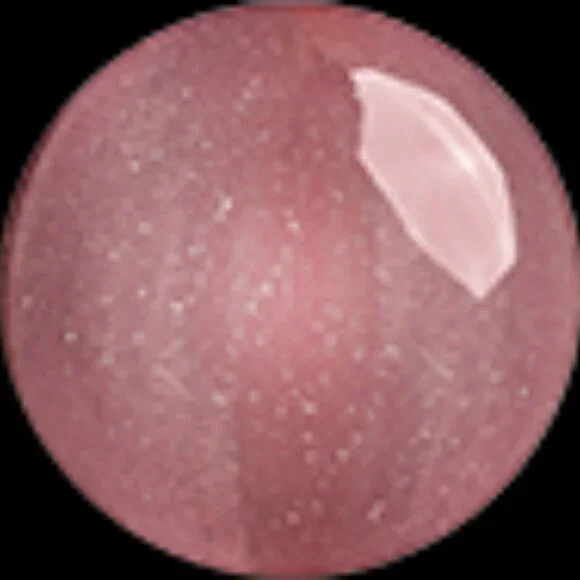 LipSense Sugar Plum - Picture 2 of 5